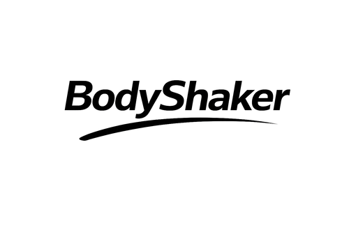 BodyShaker